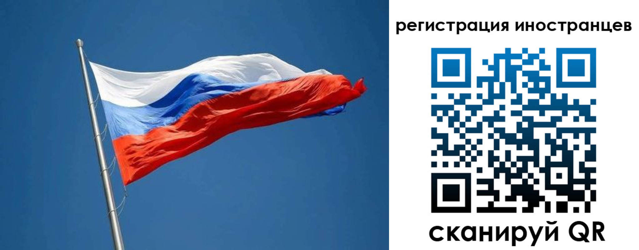 прописка в Болотном
